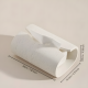 Porcelain Tissue Box
